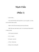 Mạch Chẩn (Phần 1)