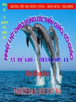 NUOC CAN CHO SU SONG Tuan 12