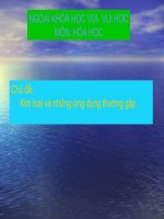 Chuyên đề ngoại khóa Hóa học 9