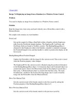 Displaying an Image from a Database in a Windows Forms Control