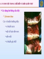 VI SINH VẬT TRONG CHẾ BIẾN VÀ BẢO QUẢN THỊT