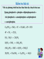 Phân bón hóa học