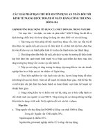 CÁC GIẢI PHÁP HẠN CHẾ RỦI RO TÍN DỤNG AN TOÀN ĐỐI VỚI KINH TẾ NGOÀI QUỐC DOANH Ở NGÂN HÀNG CÔNG THƯƠNG ĐỐNG ĐA