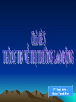 Chu de 5: Thong tin ve thi truong lao dong