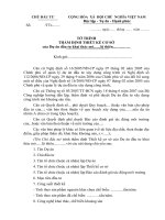 BM.CT.24 - Tờ trình thẩm định thiết kế cơ sở mỏ khoáng sản rắn