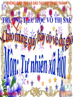 phòng cháy chữa cháy khỉ ơ nha