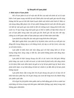 Lý thuyết về lạm phát