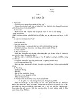 Giáo án thẻ dục 7