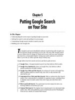 Putting Google Search on Your Site