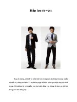 Hấp lực từ vest trong mắt phái