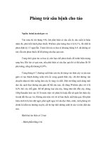 Phòng trừ sâu bệnh cho táo