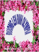 Trò chơi đường lên đỉnh olimpia