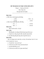 ĐỀ KHẢO SÁT HSG THÁNG 11/2010