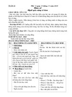 Giao an tuan 13lop 5