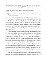 Thực trạng hoạt động và hiệu quả hoạt động của các đại diện bán hàng ở Công Ty CPTBXD petrolimex