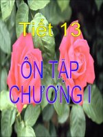 ÔN TẬP HÌNH 6 CHƯƠNG 1