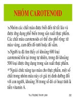 NHÓM CAROTENOID