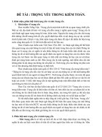 TRỌNG YẾU, VẬN DỤNG TRỌNG YẾU VÀ THỰC TRẠNG ĐÁNH GIÁ TRỌNG YẾU TẠI VIỆT NAM