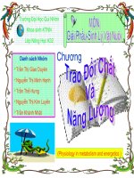 TRAO DOI CHAT VA NANG LUONG