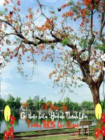 Liên hệ dây và khoảng cách từ tâm đến dây