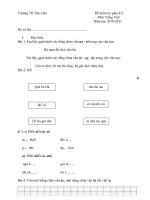 đề kiểm tra giữa kì môn TV lớp 1