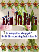 bai 19- DAC DIEM BEN NGOAI CUA LA