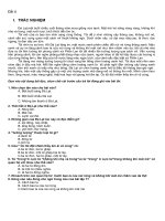 de HSG tieng viet de 4