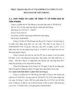 THỰC TRẠNG QUẢN LÝ TÀI CHÍNH CỦA CÔNG TY CỔ PHẦN BAO BÌ TIỀN PHONG