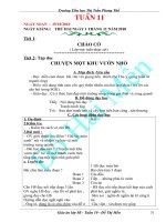 giao an lop 5 tuan 11