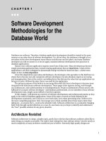 Software Development Methodologies for the Database World