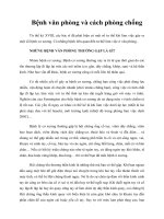 Bệnh văn phòng và cách phòng chống