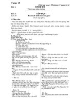 giáo án lớp 5 tuần 15( CKT-Tích hợp BVMT- CKT)