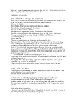 Cấp mới giấy phép sử dụng công cụ hỗ trợ