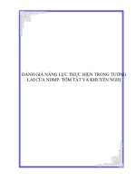 ĐÁNH GIÁ NĂNG LỰC THỰC HIỆN TRONG TƯƠNG LAI CỦA NDMP- TÓM TẮT VÀ KHUYẾN NGHỊ