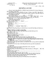 Mẫu hợp đồng làm việc lần đầu