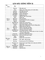 giao án 5- Tuần 12