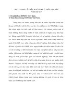 THỰC TRẠNG CỔ PHẦN HOÁ DNNN Ở TRÊN ĐỊA BÀN