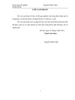 Nâng cao sức cạnh tranh một số sản phẩm của công ty cổ phần dinh dưỡng Hồng Hà tại tỉnh Hà Nam