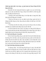 Chiến lược phát triển và các công  cụ cạnh tranh mà Công ty Rượu Hà Nội đang triển khai