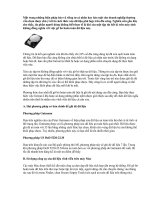 Hủy dữ liệu vĩnh viễn trên đĩa cứng