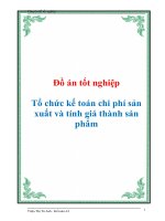 Đồ án tốt nghiệp Tổ chức kế toán chi phí sản xuất và tính giá thành sản phẩm