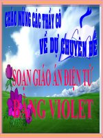 HuongdanSudung Violet