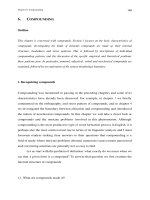 Cambridge University Press Word Formation In English - Compounding