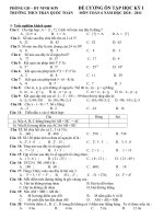 DE CUONG ONTAP TOÁN 6 - HKI