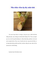 Mía chữa viêm dạ dày mãn tính