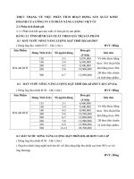 THỰC TRẠNG VỀ VIỆC PHÂN TÍCH HOẠT ĐỘNG SẢN XUẤT KINH DOANH CỦA CÔNG TY CỔ PHẦN NĂNG LƯỢNG VIỆT ÚC