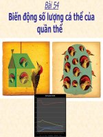 BÀI 54 BIẾN ĐỌNG SỐ LƯỢNG CÁ THỂ CỦA QUẦN THỂ
