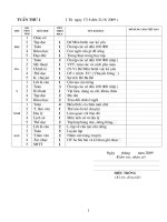 phân phối chương trình cả năm lớp 4