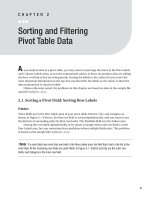 Sorting and Filtering Pivot Table Data