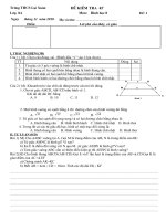 Kiem tra 45'''' Hinh 8